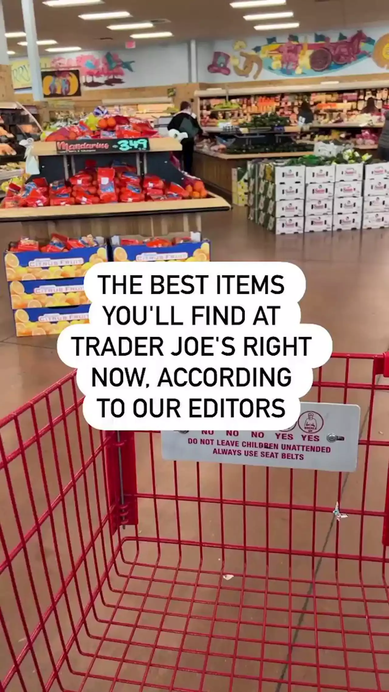 10 Best Items You'll Find at Trader Joe's Right Now, According To Our Editors