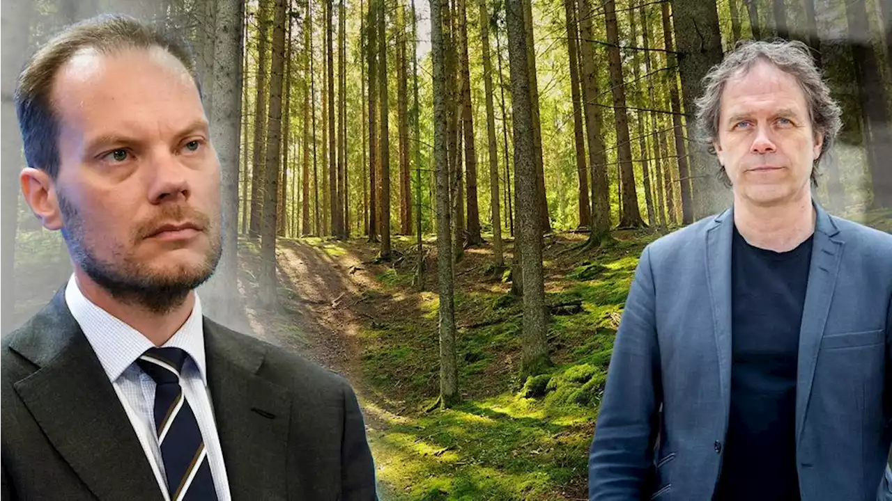 Regeringen går emot EU:s klimatpaket för skogen