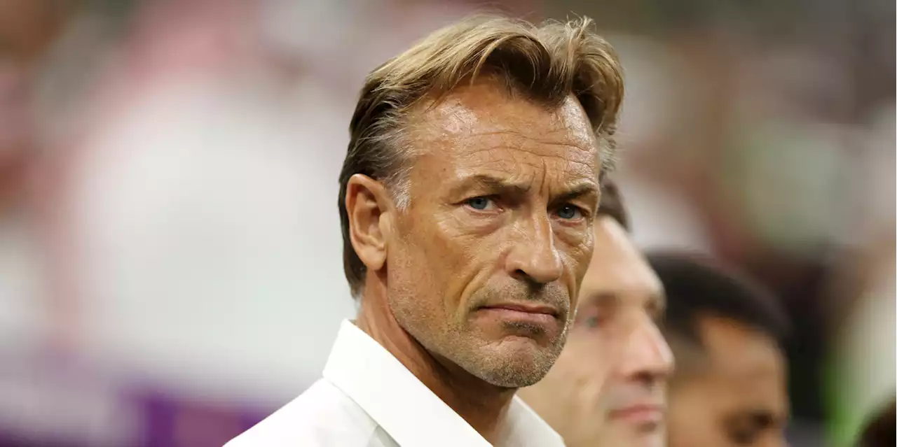 Football : pressenti chez les Bleues, Hervé Renard quitte son poste de sélectionneur de l'Arabie saoudite