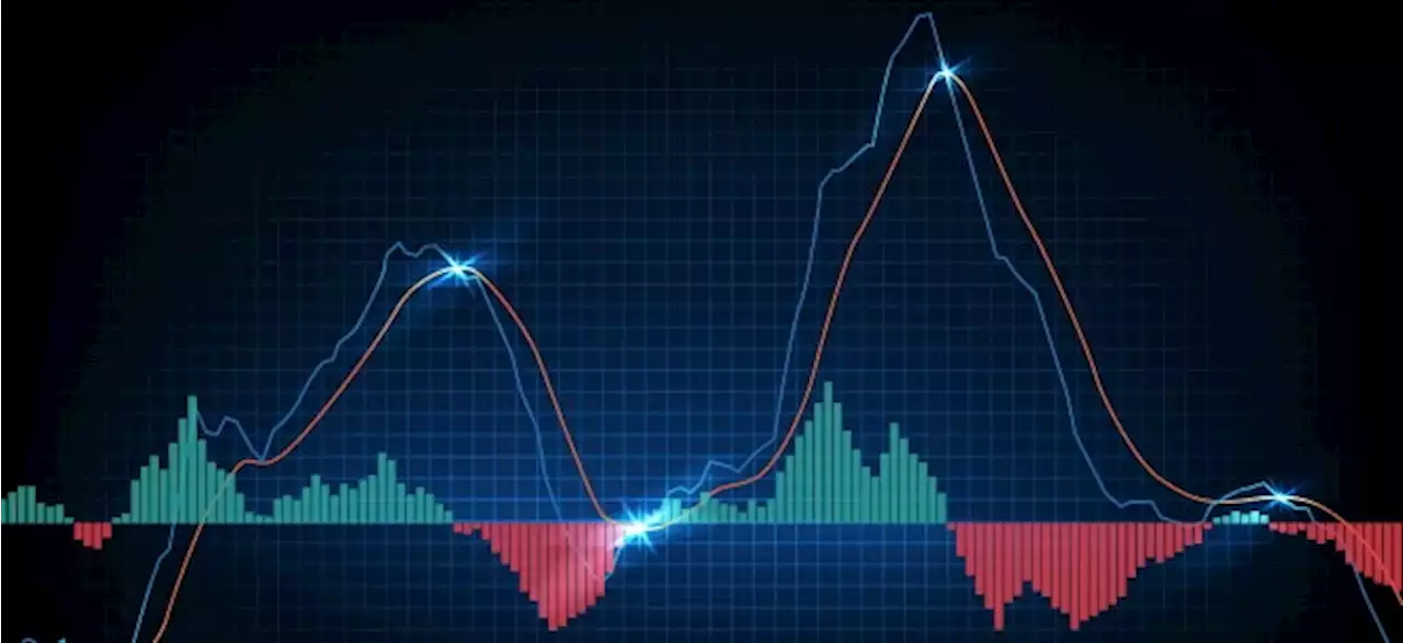 Online-Seminar: Crash oder Hausse? Diese Assets versprechen Rendite bei Schwankungen