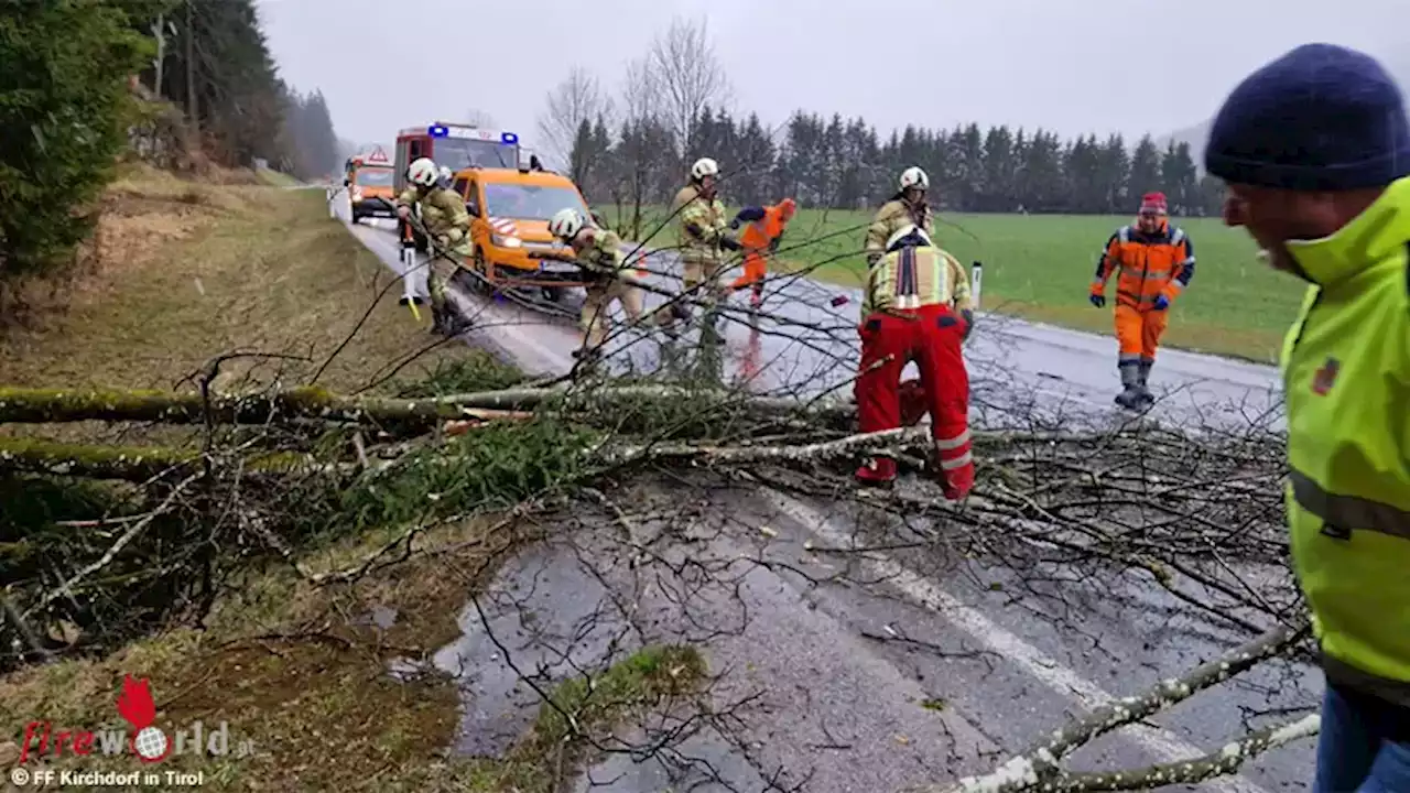 Tirol: Umgestürzter Baum blockierte Fahrbahn der B 178 (Loferer Bundesstraße)