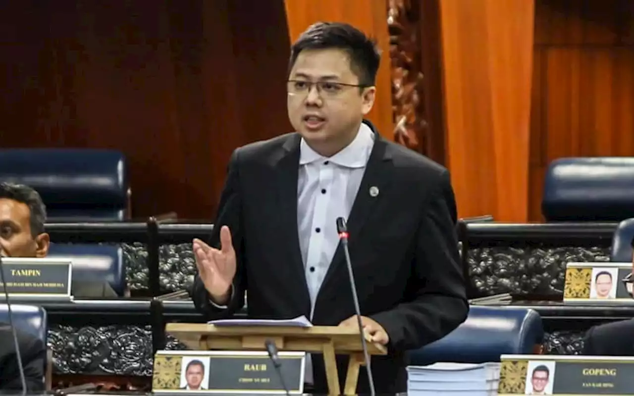 Henti berperangai seperti pembangkang, Ahli Parlimen DAP beritahu MCA