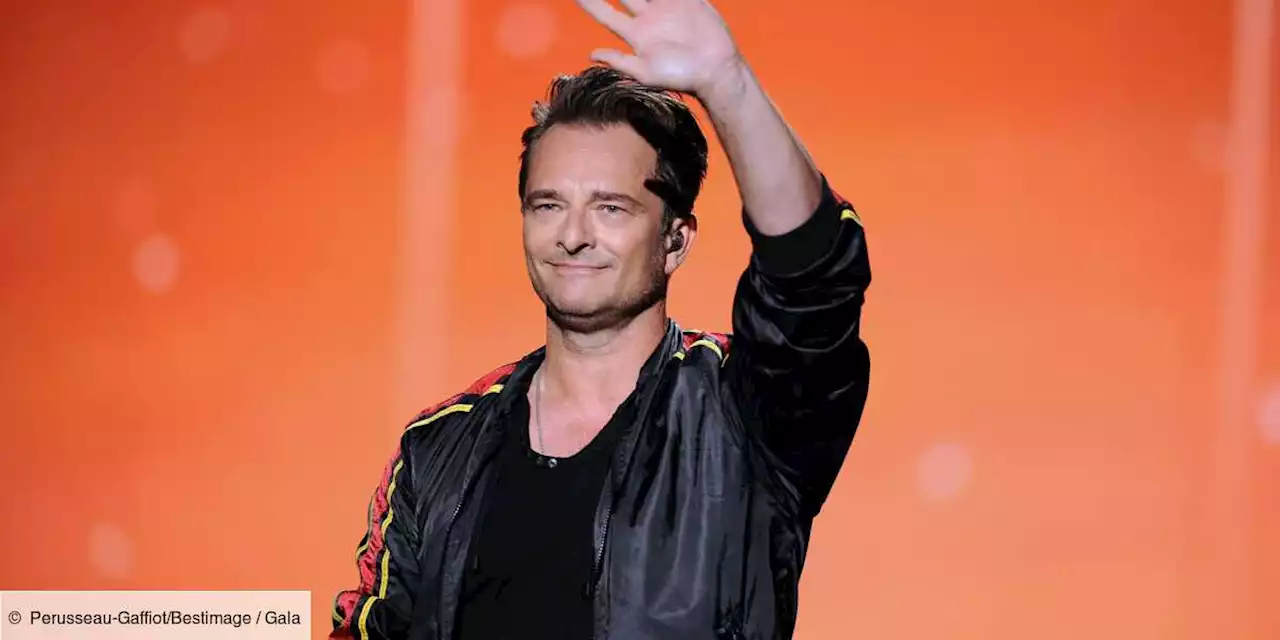 David Hallyday : pourquoi il a mis sa carrière entre parenthèses - Gala