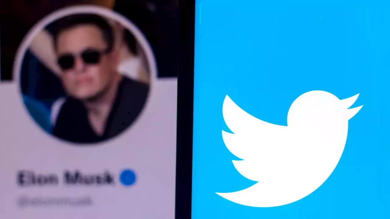 Elon Musk Says ‘For You’ Section Will Soon Be Entirely Users Who Paid for Twitter