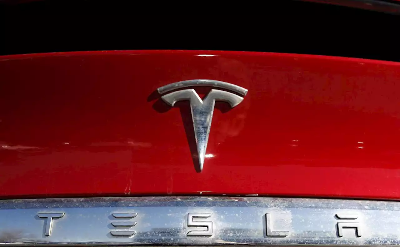 U.S. regulators open investigation into Tesla over seat belt complaints