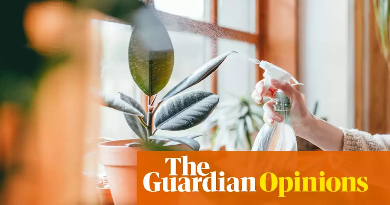 My sister has become a great gardener – and I have never felt so betrayed | Zoe Williams