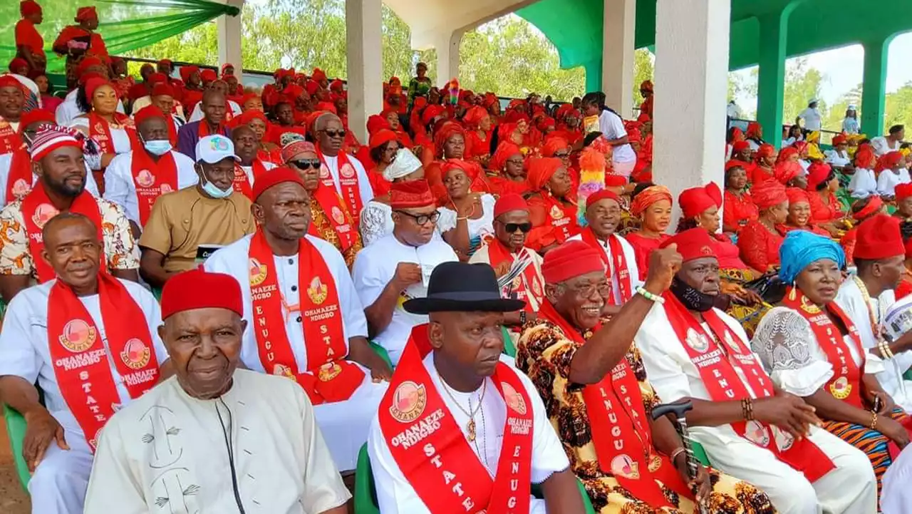 Ohanaeze hails ruling on APGA leadership