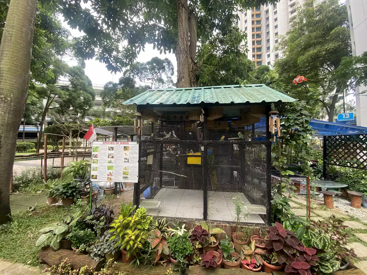 Farrer Park resident builds bird park in his neighbourhood - Singapore News