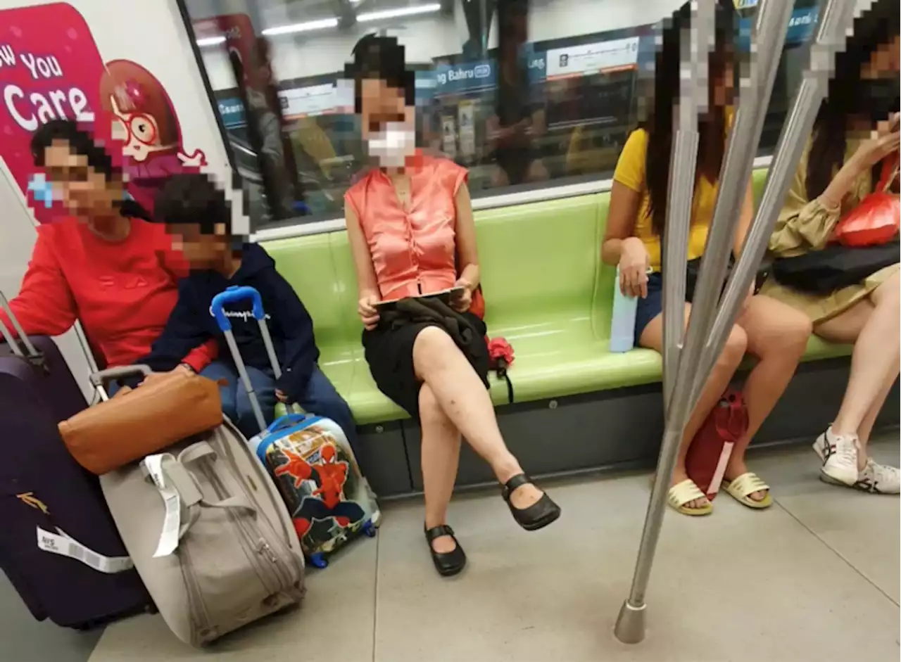 Woman shouts at family tourists over their luggage taking up space on train - Singapore News