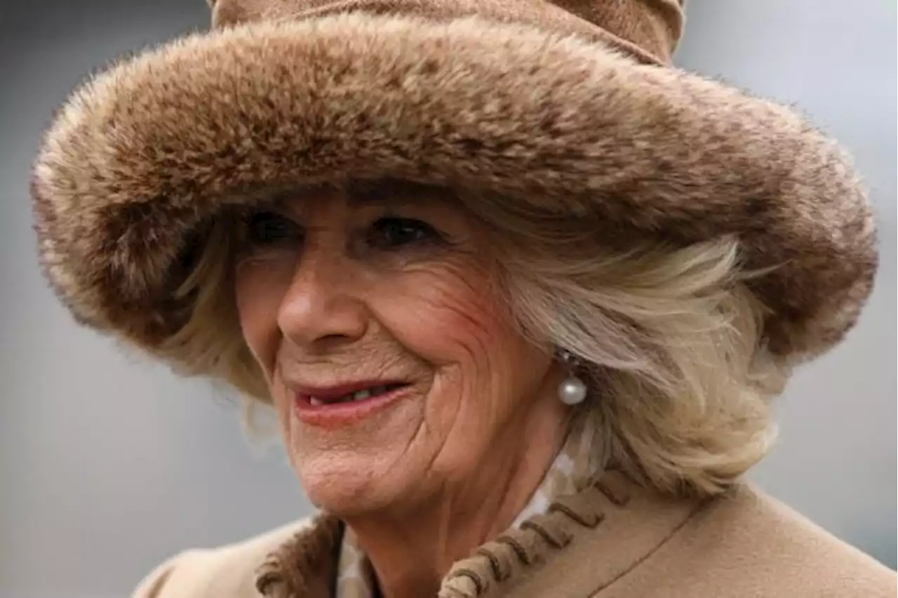 UK’s Queen consort Camilla: from palace margins to royal limelight