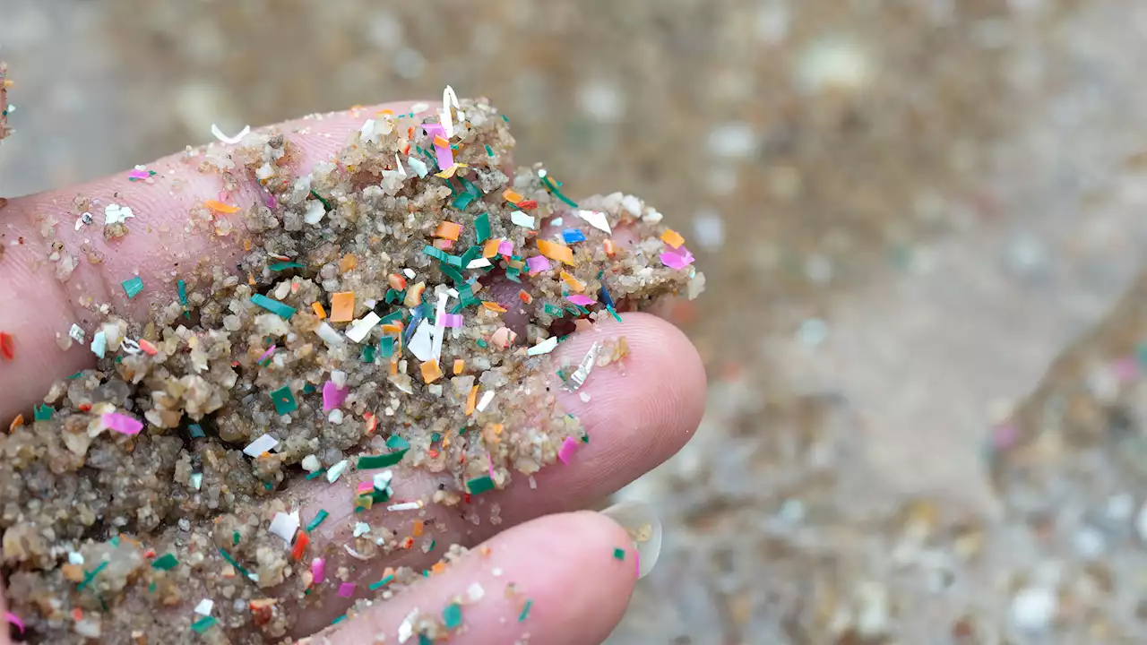 Pulsing sound waves can help remove microplastics from ocean, study reveals