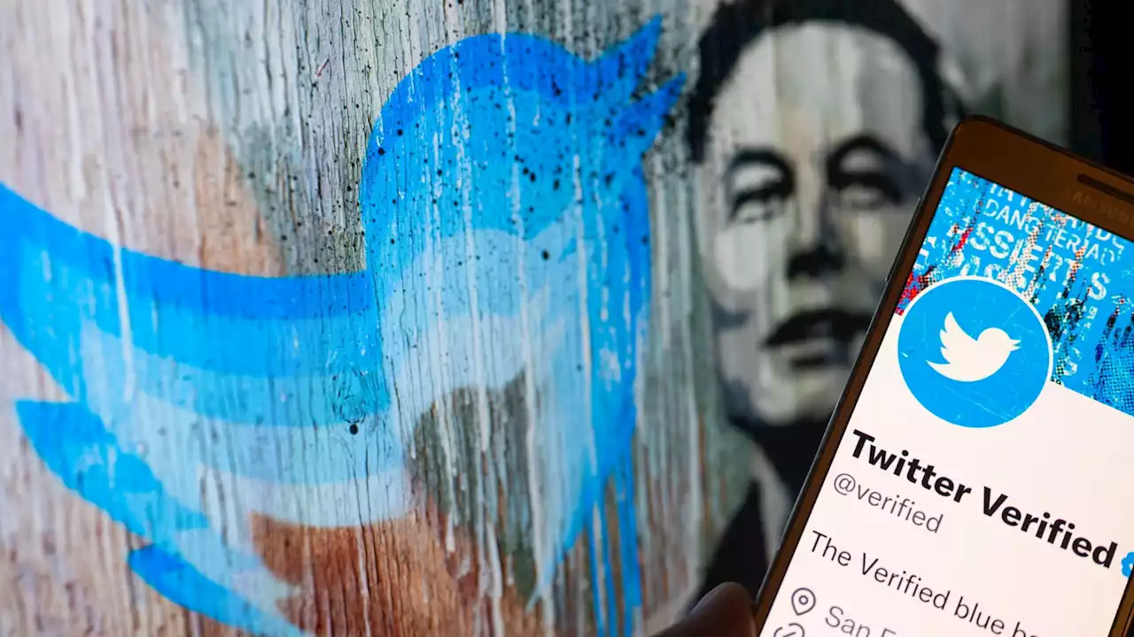 Twitter's 'For You' page to show tweets only from verified accounts, says Elon Musk