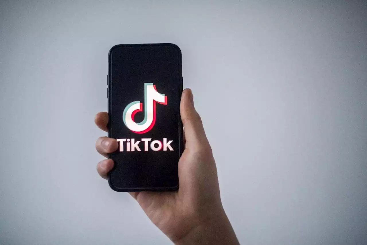 Aquí no prohibimos TikTok; hay “libertad completa”: AMLO