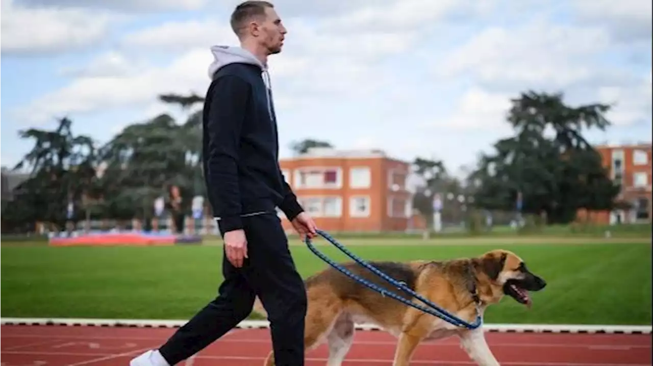 EasyJet interdit de vol le chien d'un champion handisport français aveugle