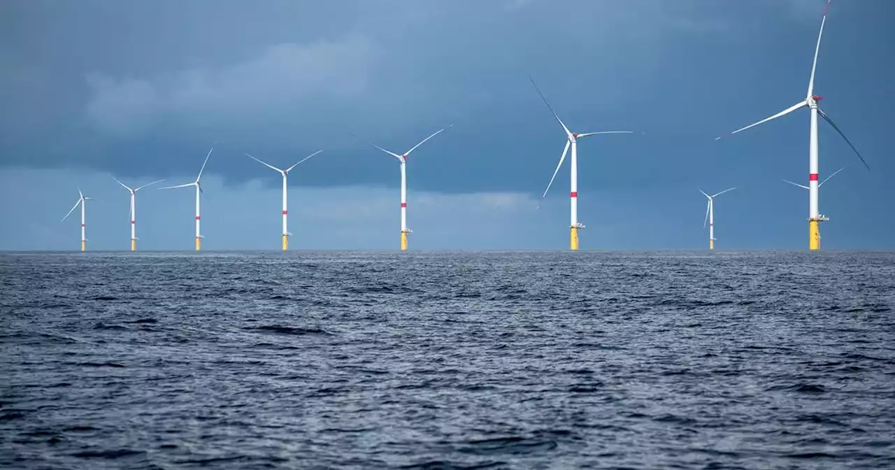 Le plus grand parc éolien français, au large de la Normandie, attribué à EDF