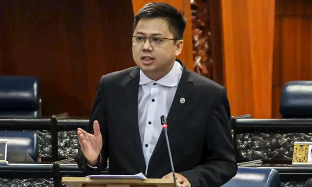 MCA should not act like PN allies - DAP MP