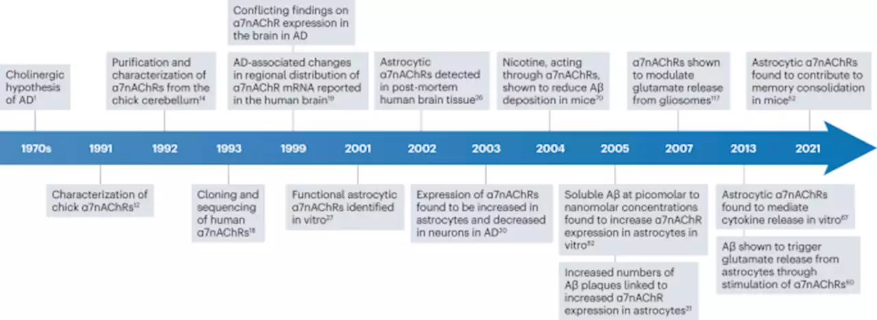 The role of astrocytic α7 nicotinic acetylcholine receptors in Alzheimer disease - Nature Reviews Neurology