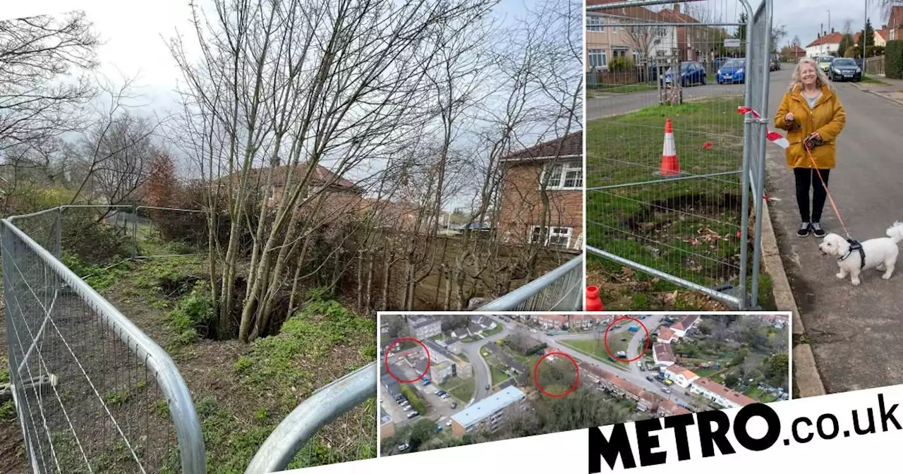 Children banned from playing outside in case sinkholes swallow them