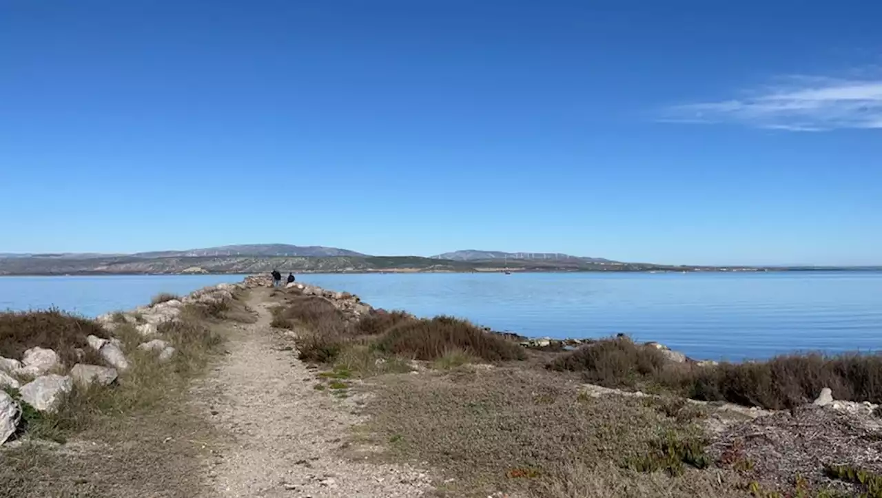 P-O : le maire du Barcarès mobilise ses réseaux pour retrouver Sébastien, le pêcheur disparu sur l’étang de Salses-Leucate