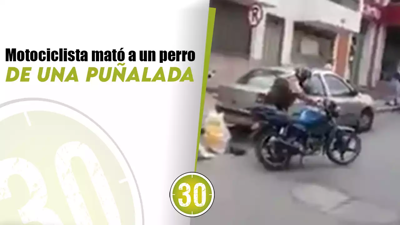 [VIDEO] Motociclista mató a un perro de una puñalada | Minuto30