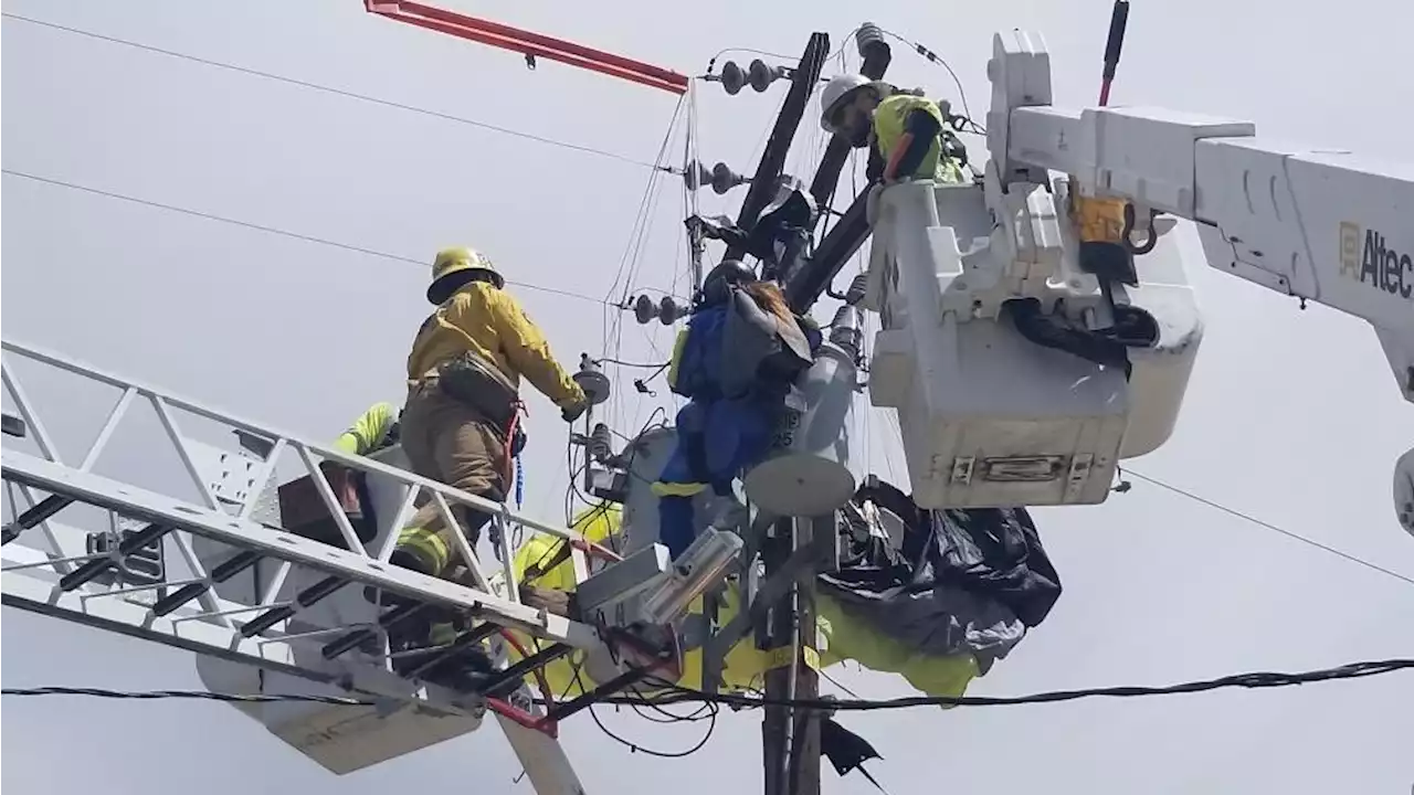 Firefighters Rescue Skydiver Tangled in Power Lines Near Lake Elsinore