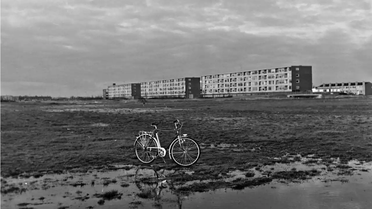 Van lege polder tot grootste stadsdeel: de razendsnelle ontwikkeling van Schalkwijk