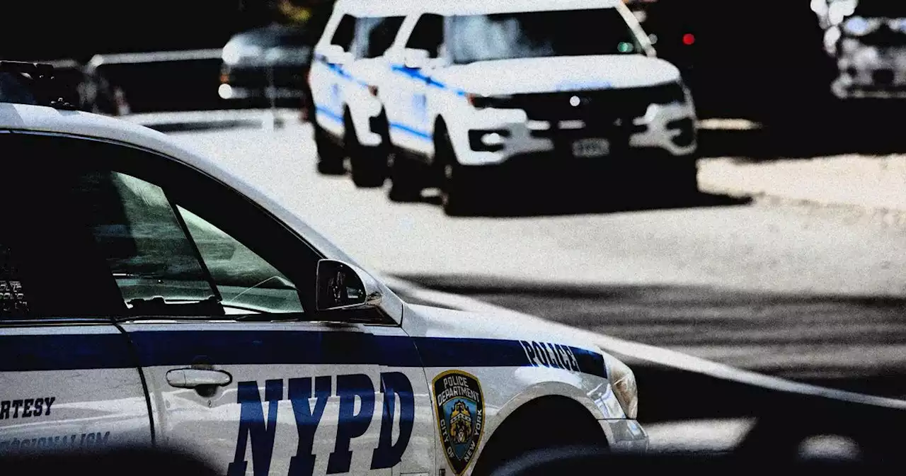 NYPD’s Illegal Parking Needs to Be Curbed