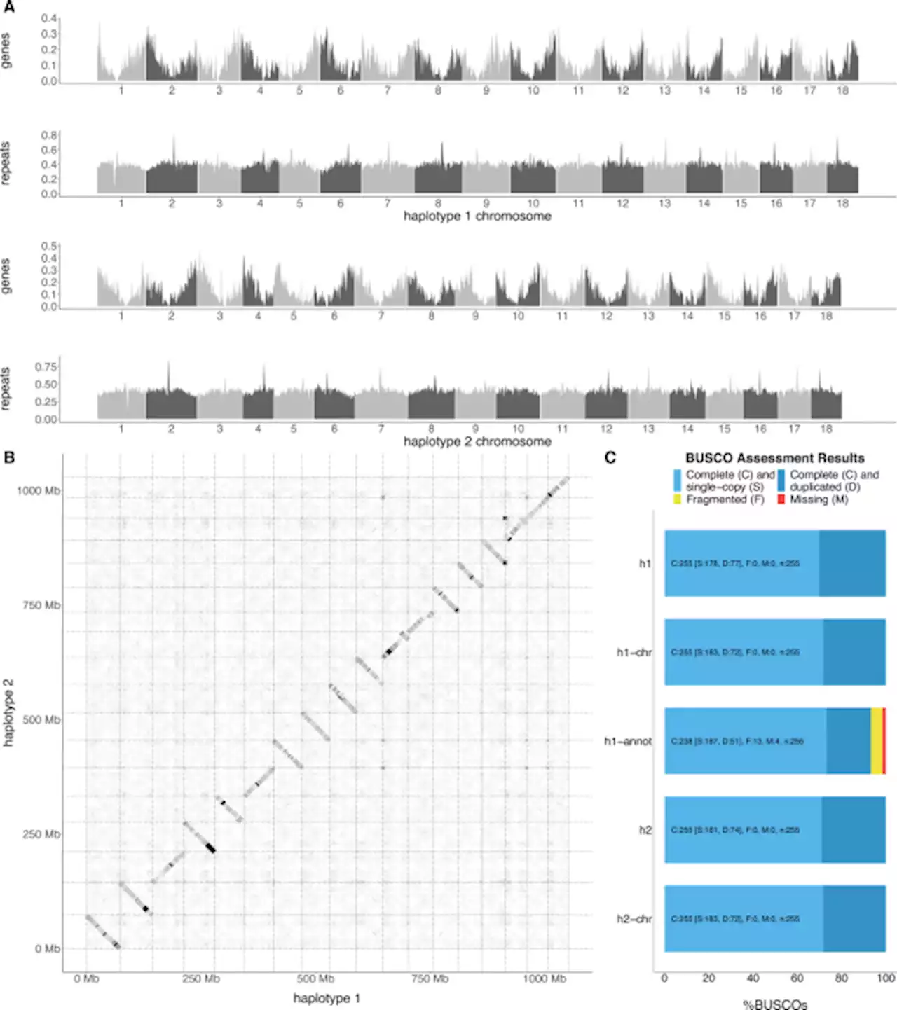 Large haploblocks underlie rapid adaptation in the invasive weed Ambrosia artemisiifolia - Nature Communications