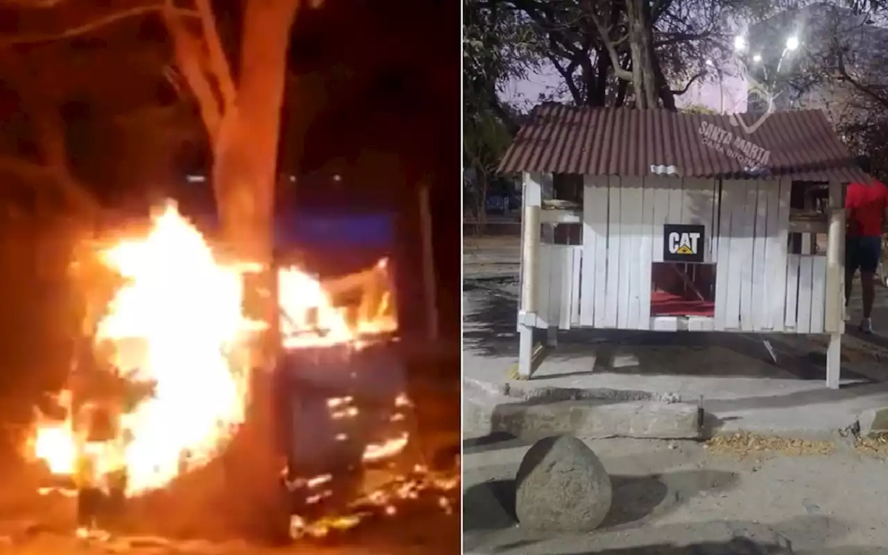 Construyen nuevo refugio en polideportivo donde incineraron gatos, pero les bajaron la caña - Pulzo