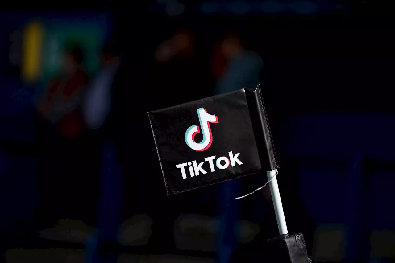 Japan lawmakers eye ban on TikTok, others if used improperly