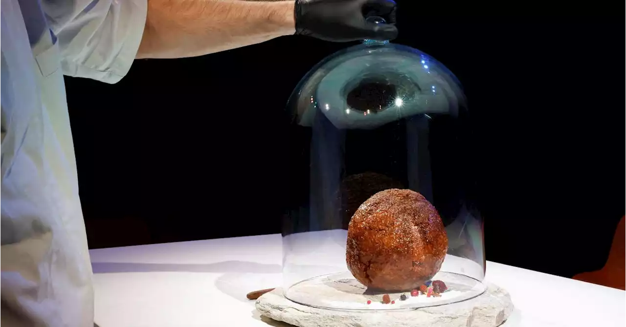 Giant meatball of extinct mammoth unveiled in The Netherlands