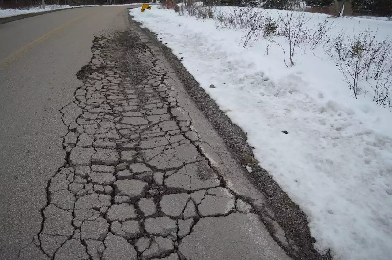 'Chewed to pieces': Cape Breton coalition group calls for changes to current coal transport route | SaltWire