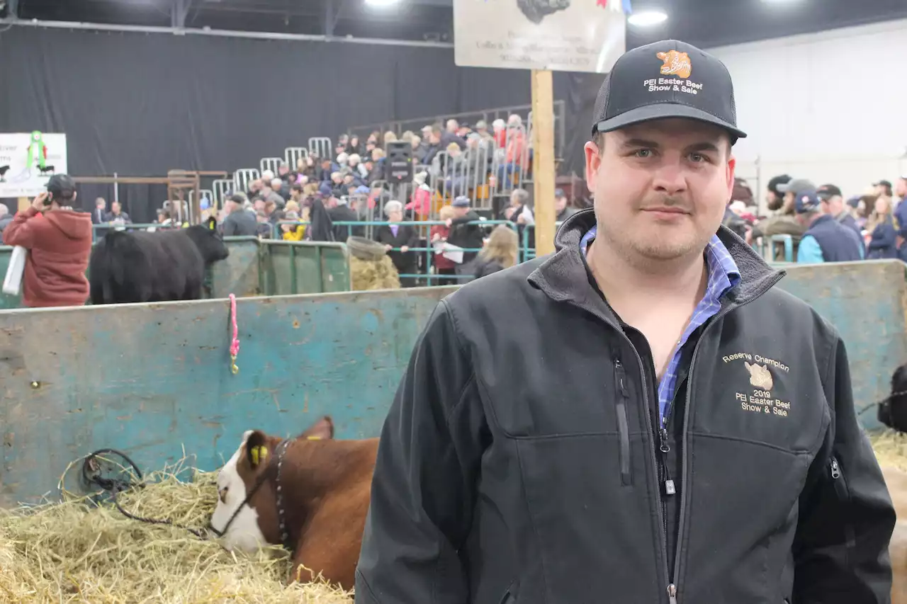 Easter Beef Auction goes ahead in Charlottetown after months of preparation by farmers | SaltWire