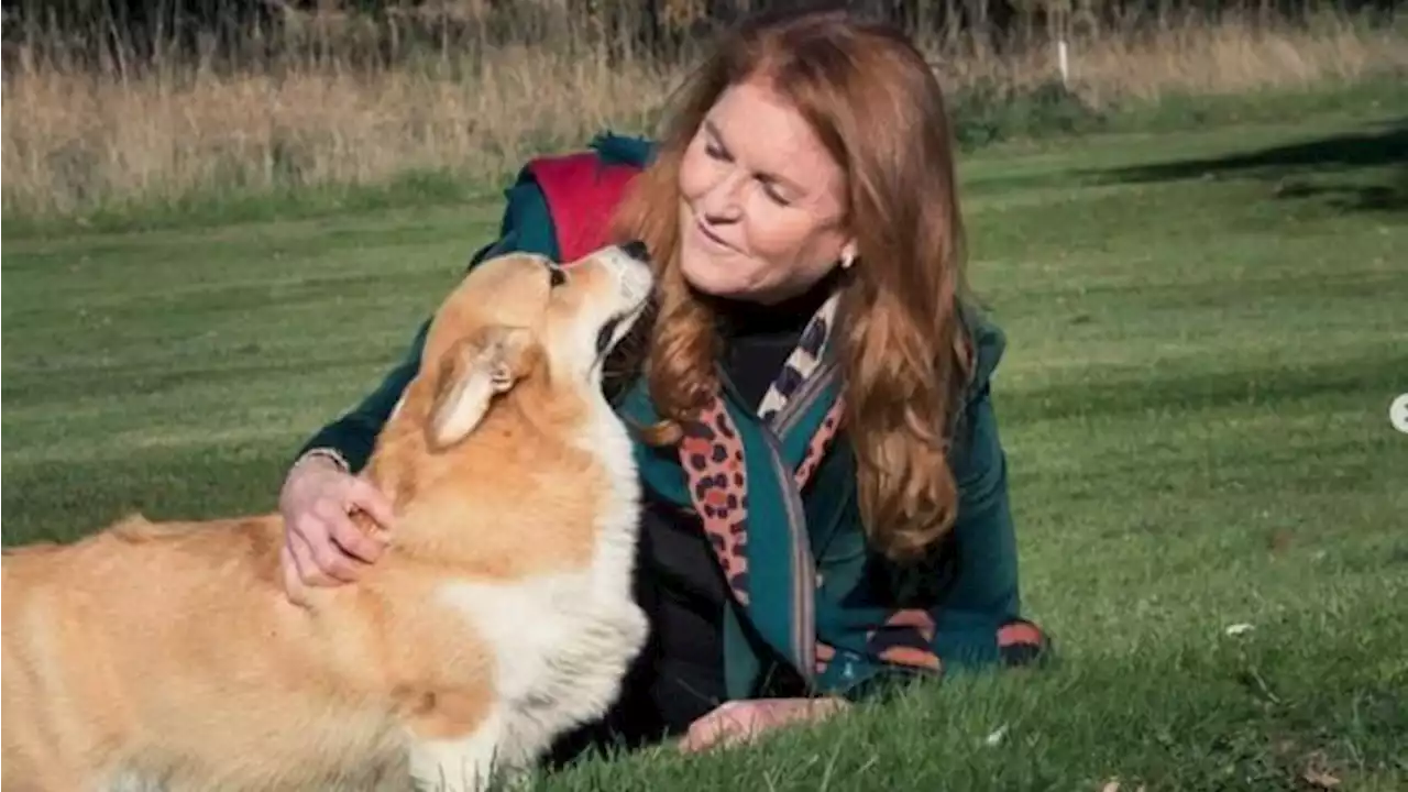 Fergie remembers Queen's powerful message about 'kindness' with corgis