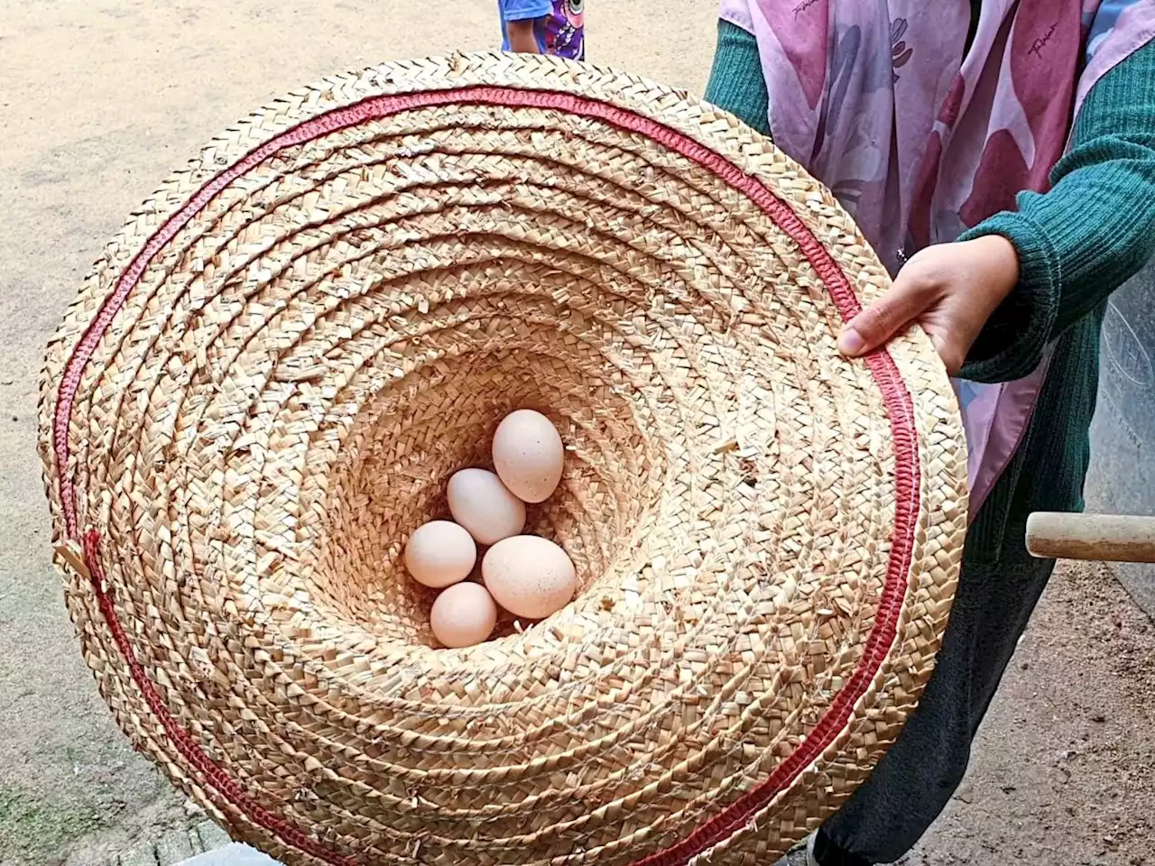 QuickCheck: Does eating eggs improve your reflexes?