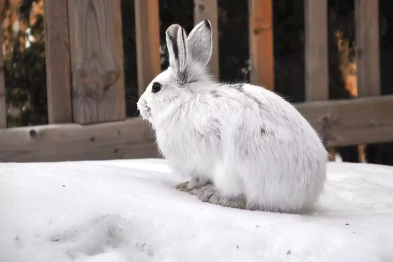 Mainly cloudy today with a high of 4