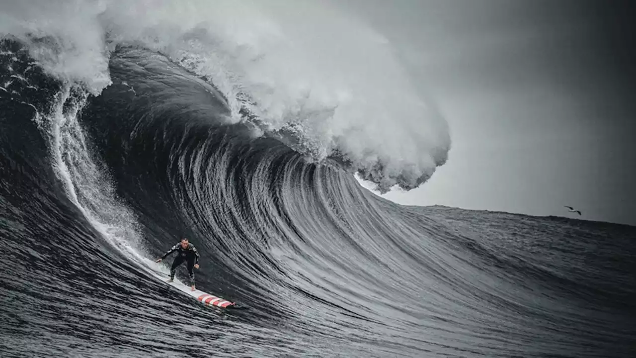 Surfers at a breaking point in 100 Foot Wave’s second-season trailer