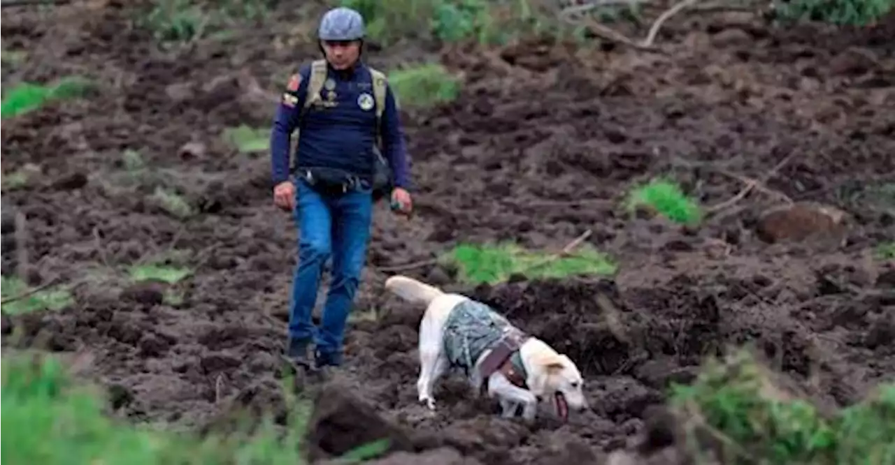 Seven dead, nearly 50 missing in Ecuador landslide