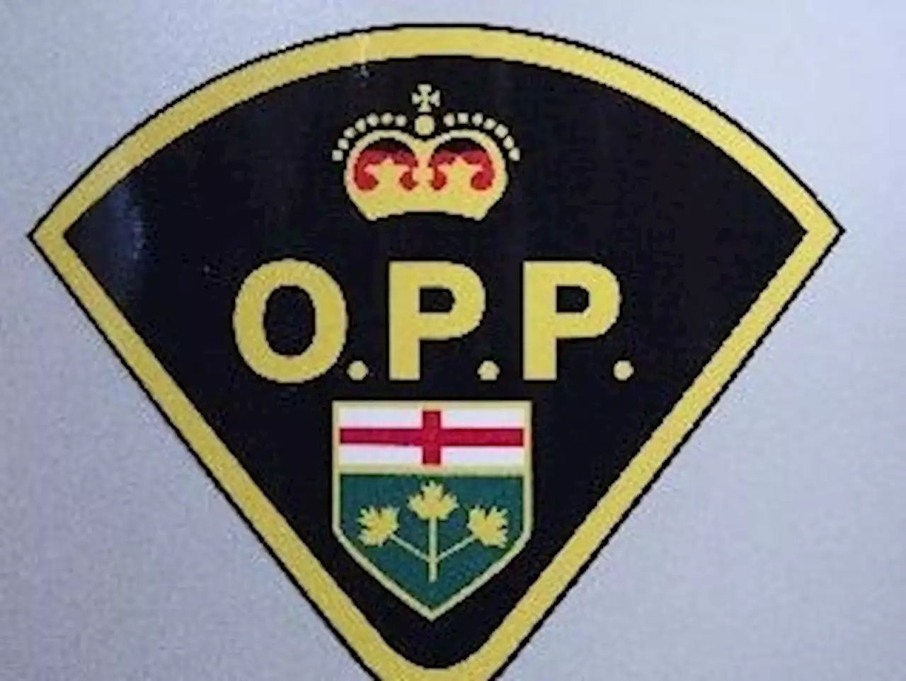 Motorist nabbed for allegedly travelling at 200 km/h on Hwy. 401