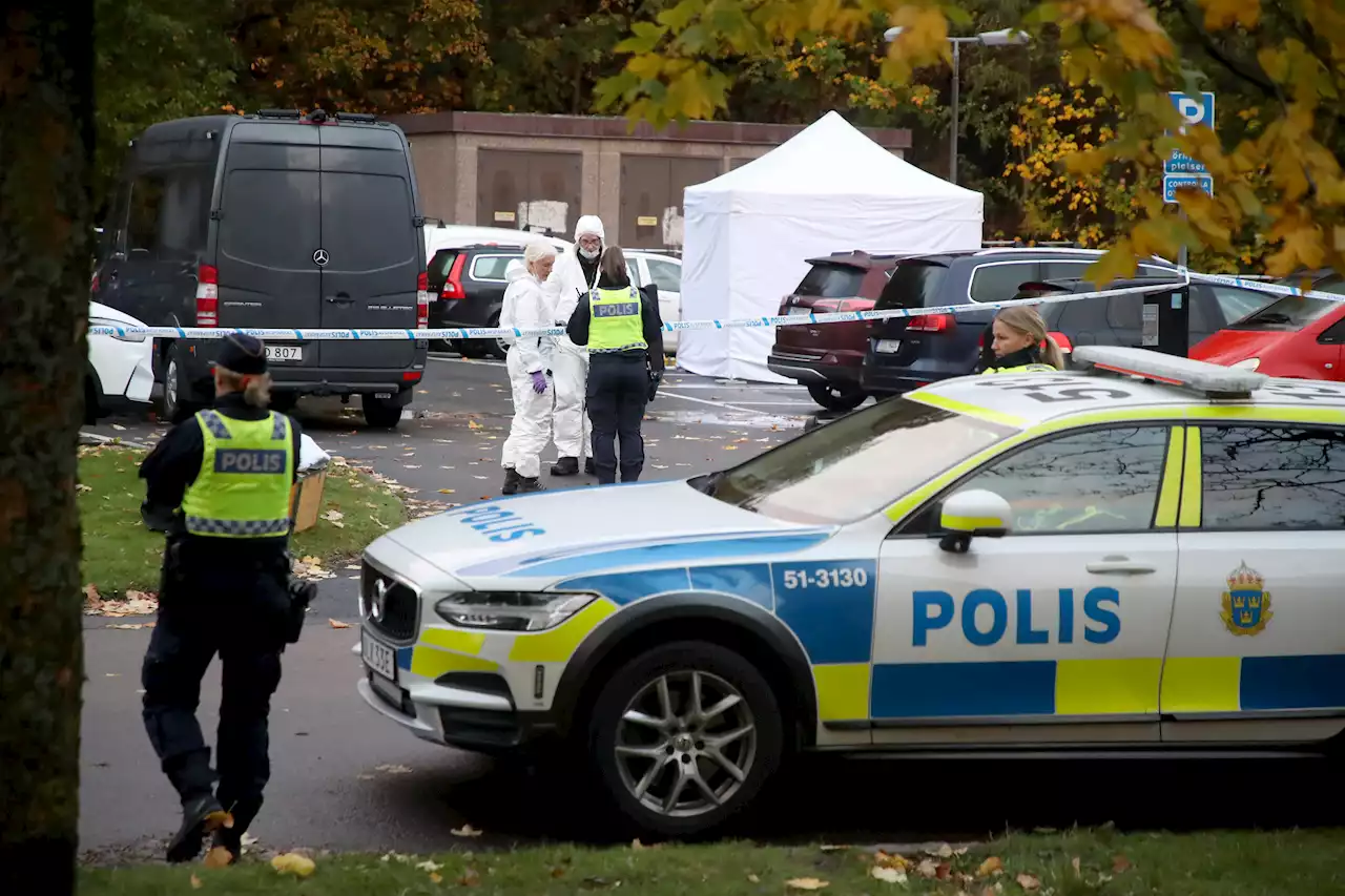 Polisinsatser sågas – 'gör mer skada än nytta'