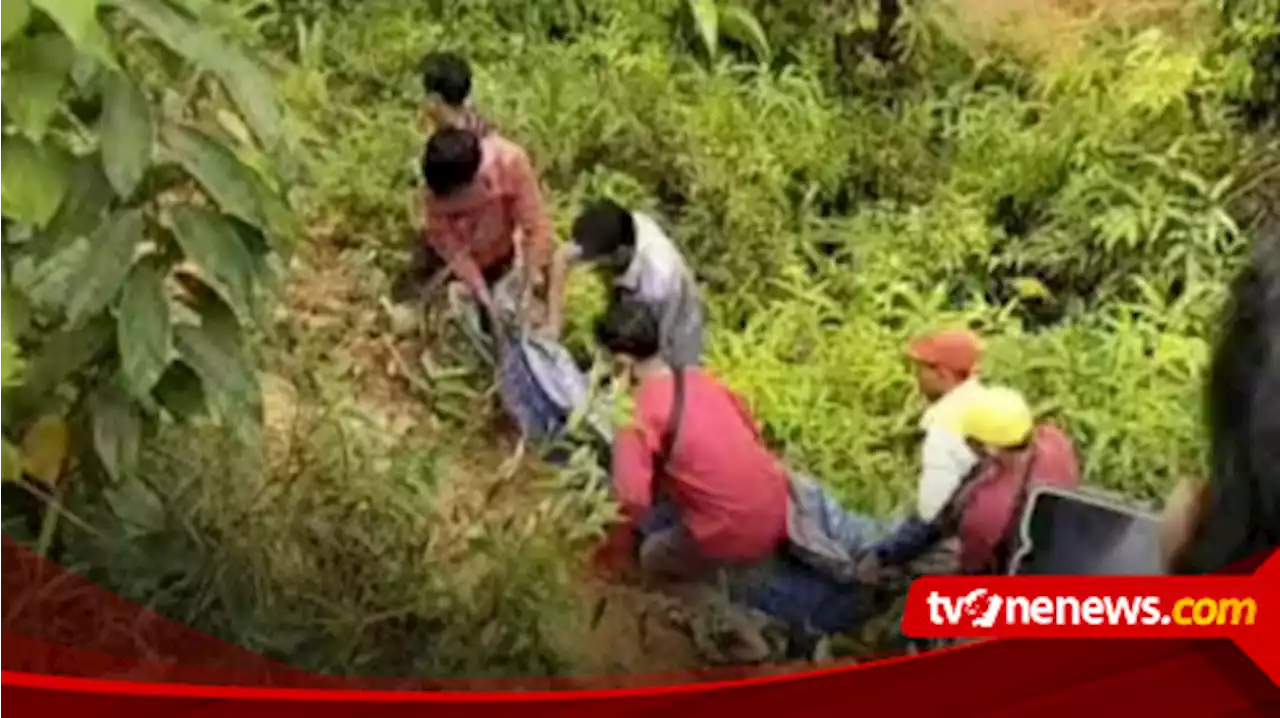 Polisi Buru Pelaku Pembunuh Mr.X yang Ditemukan Tewas di Perkebunan Kelapa Sawit di Jambi