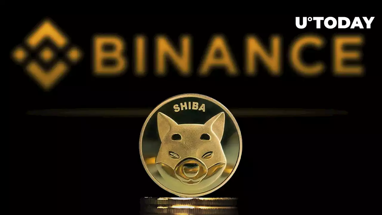 86 Trillion Shiba Inu (SHIB) Held in Binance's Publicly Disclosed Wallets: Details