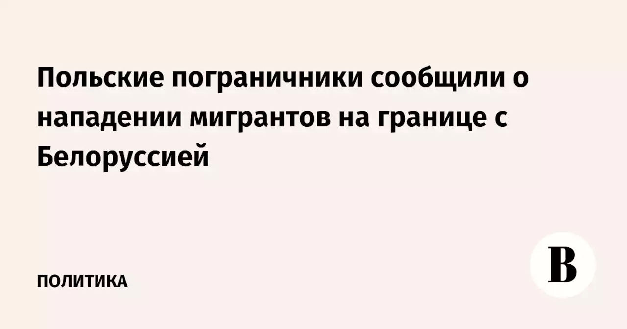 Польские пограничники сообщили о нападении мигрантов на границе с Белоруссией