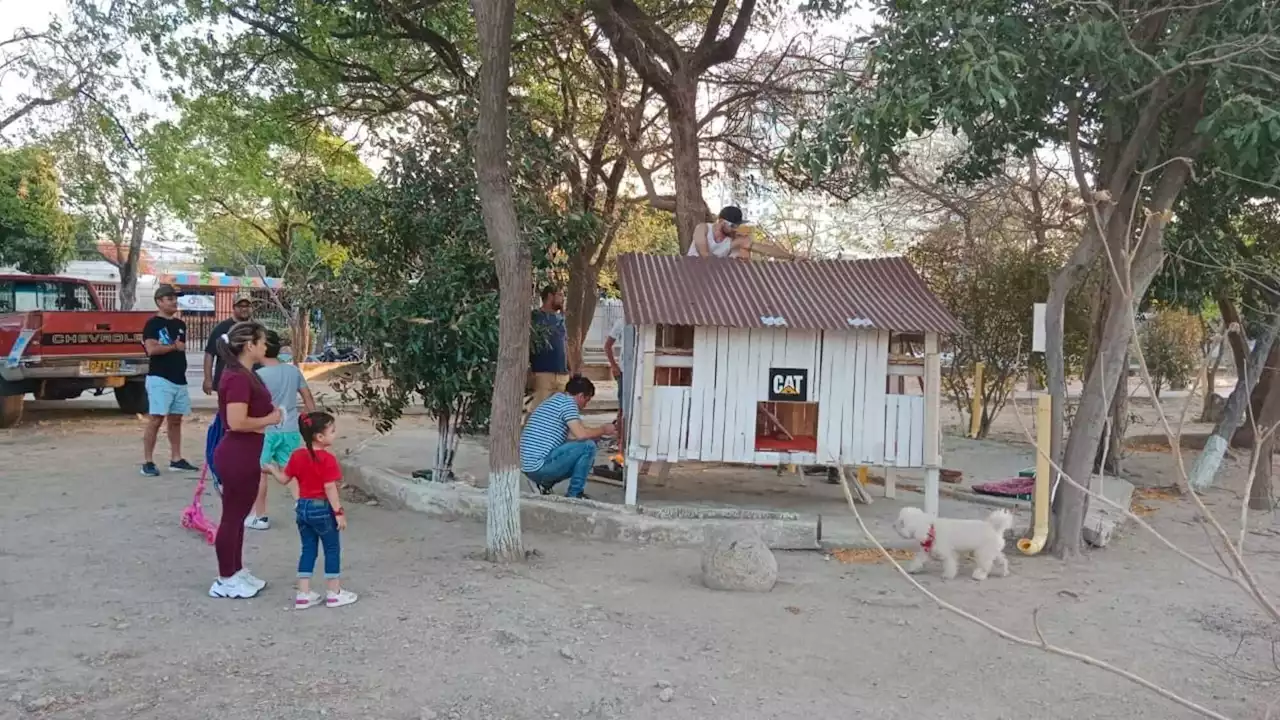 Gatos del Polideportivo en Santa Marta, ya tienen nuevo hogar