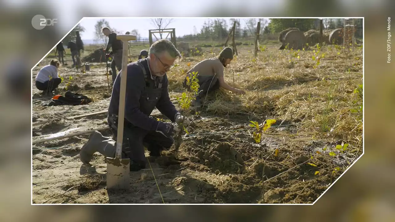 plan b: Urwald für die Stadt