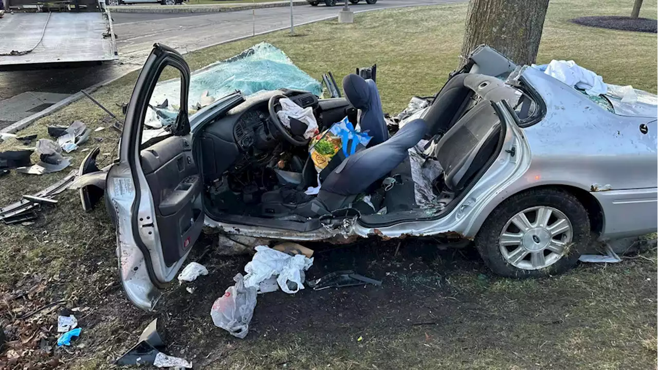 Driver survives single-car crash that obliterated car in Brighton