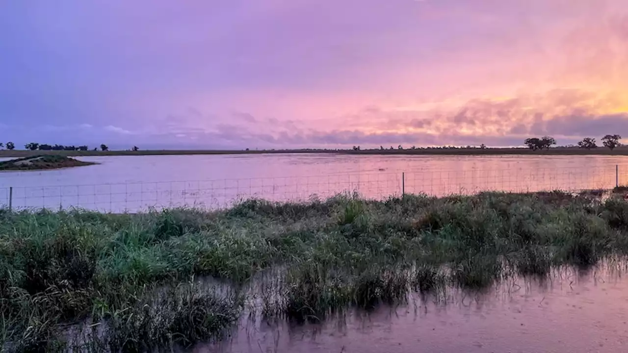 Farmers tell federal inquiry climate change 'threatens our food security'