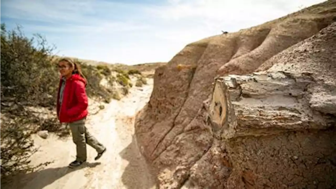 Rocas Coloradas, la joya de Comodoro Rivadavia que sorprende a los visitantes