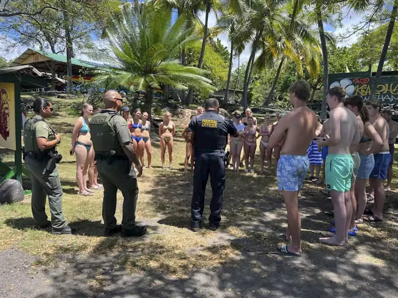 Hawaii authorities say 33 swimmers were harassing dolphins