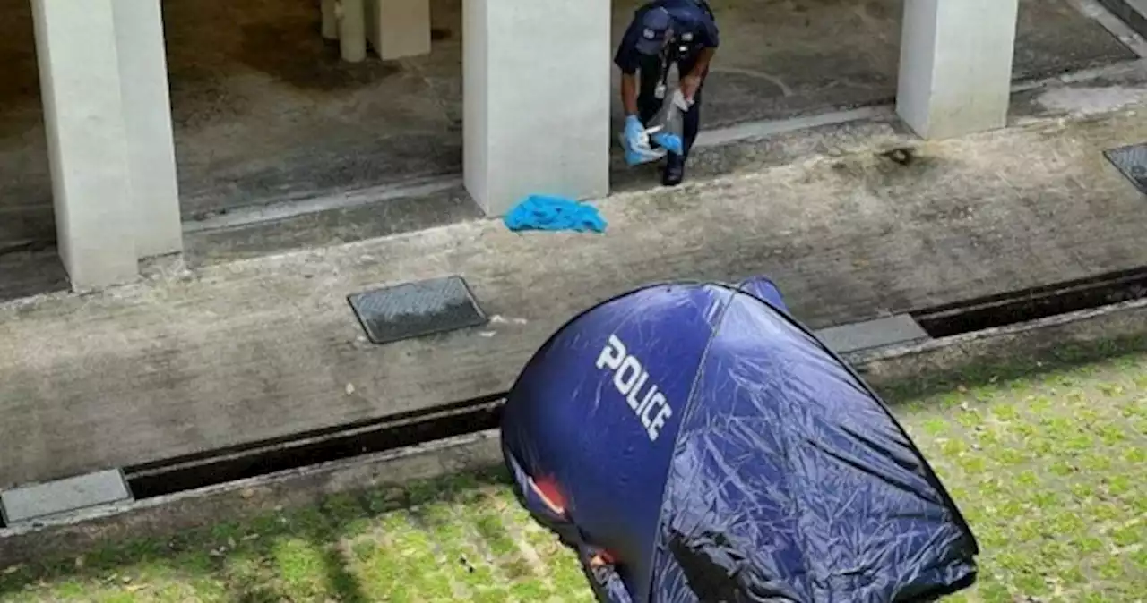 Baby's body found at foot of Hougang HDB block, 18-year-old woman aiding investigations